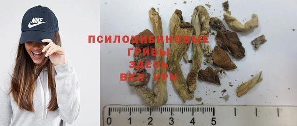 дурь Володарск