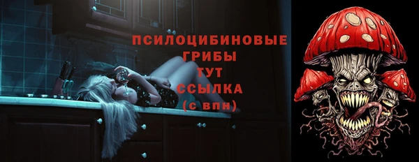 хмурый Волосово